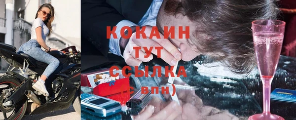 индика Нефтекумск