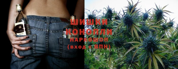 индика Нефтекумск