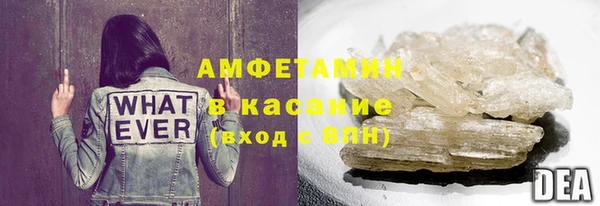 индика Нефтекумск