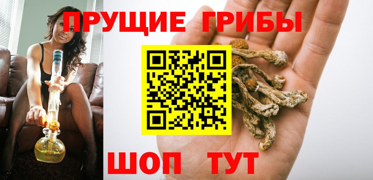 Галлюциногенные грибы Cubensis  Майский 